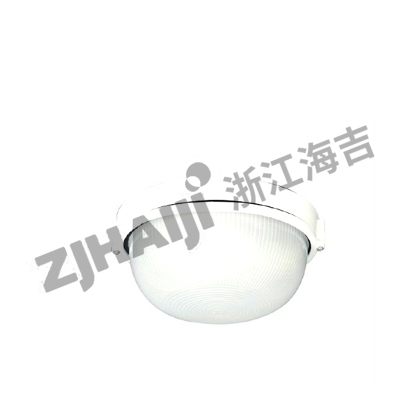 CCD10-1白炽舱顶灯